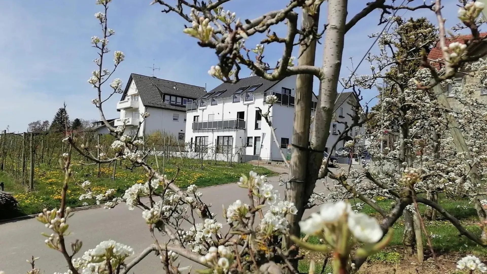 Haus Agatha Apartment Wasserburg am Bodensee Germany